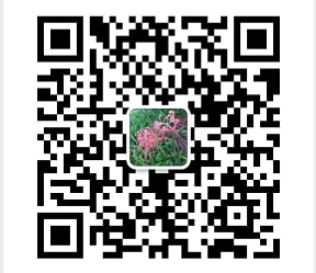 微信_道永科技(上海)有限公司