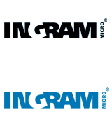 Ingram-micro_道永科技(上海)有限公司